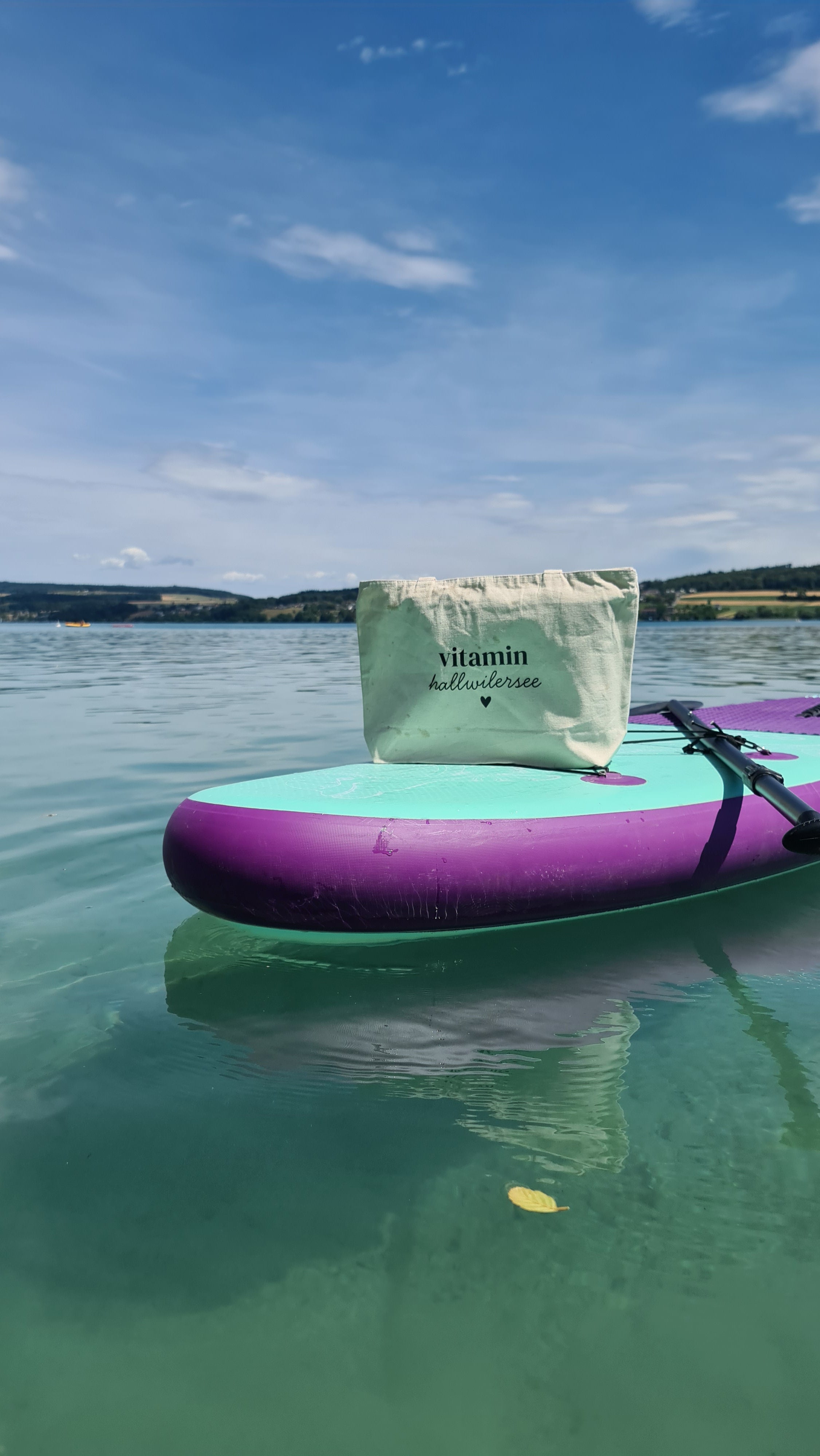 vitamin hallwilersee | grossi Täsche mit Riissverschluss