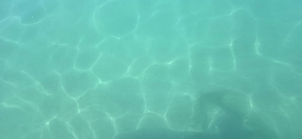vitamin hallwilersee | grossi Täsche mit Riissverschluss